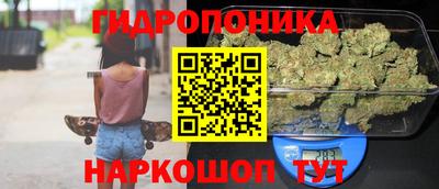 МДПВ Лесосибирск