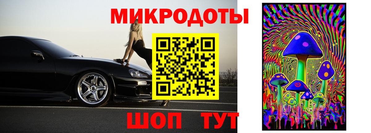 Псилоцибиновые грибы Cubensis Димитровград