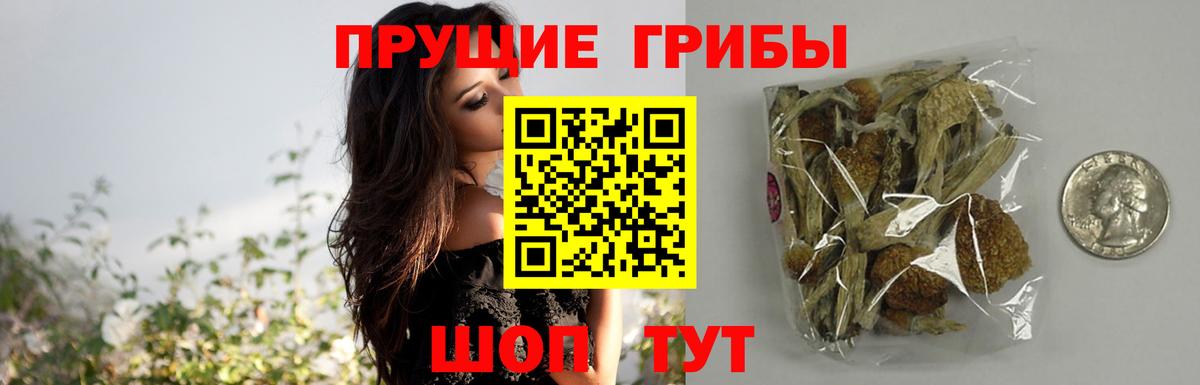 Димитровград  Галлюциногенные грибы Cubensis  магазин продажи   Вход с VPN 