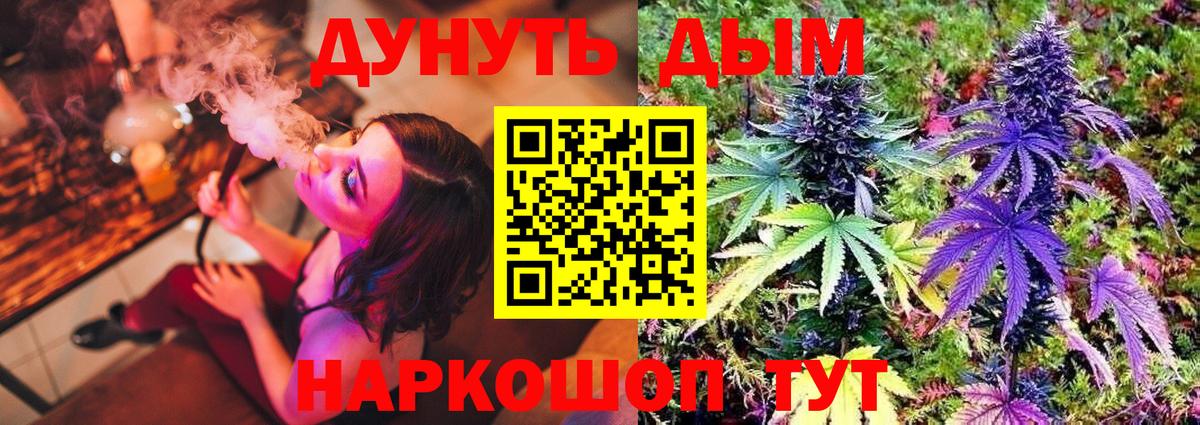 Каннабис гибрид  Канабис OG Kush  Марихуана сатива  Вход с VPN  Димитровград 